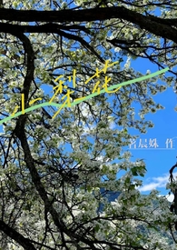 梨花小馆小说