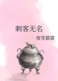 刺客无名TXT百度网盘